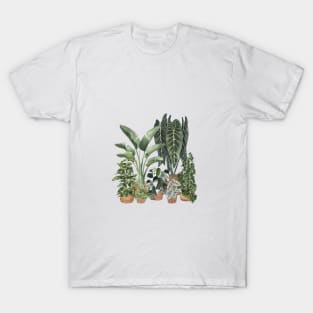 House Plants Illustration 16 T-Shirt